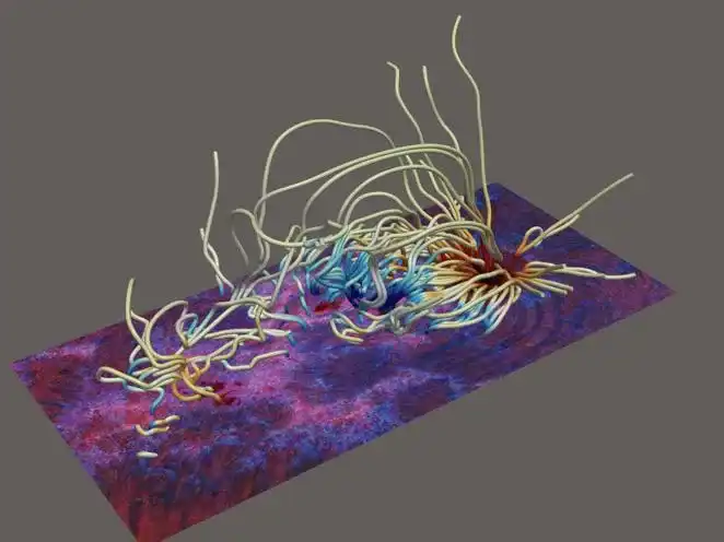 Three-dimensional magnetic field lines arching above a solar active region